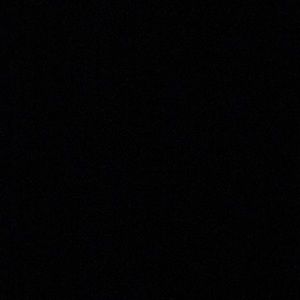 Meet your Posher, Ann